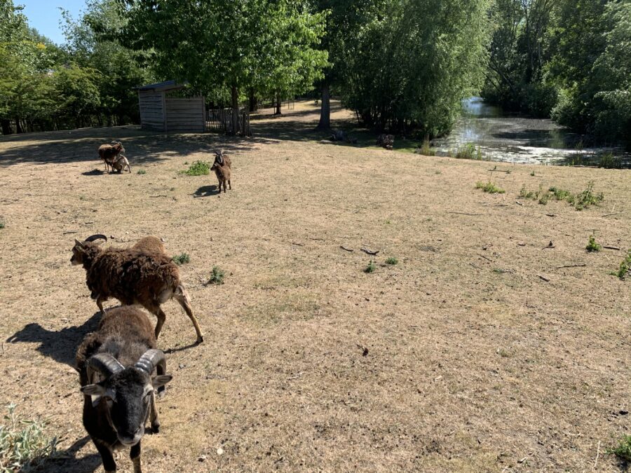 Mijn leven in foto’s #124 - Natuurtuin Leerdam