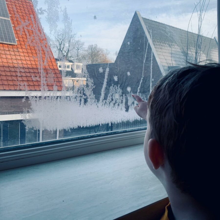 Mijn leven in foto’s #136 - Sneeuwbloemen