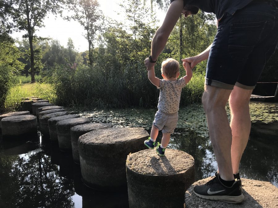 Mijn leven in foto’s #87 - Wandelen in het Lingebos