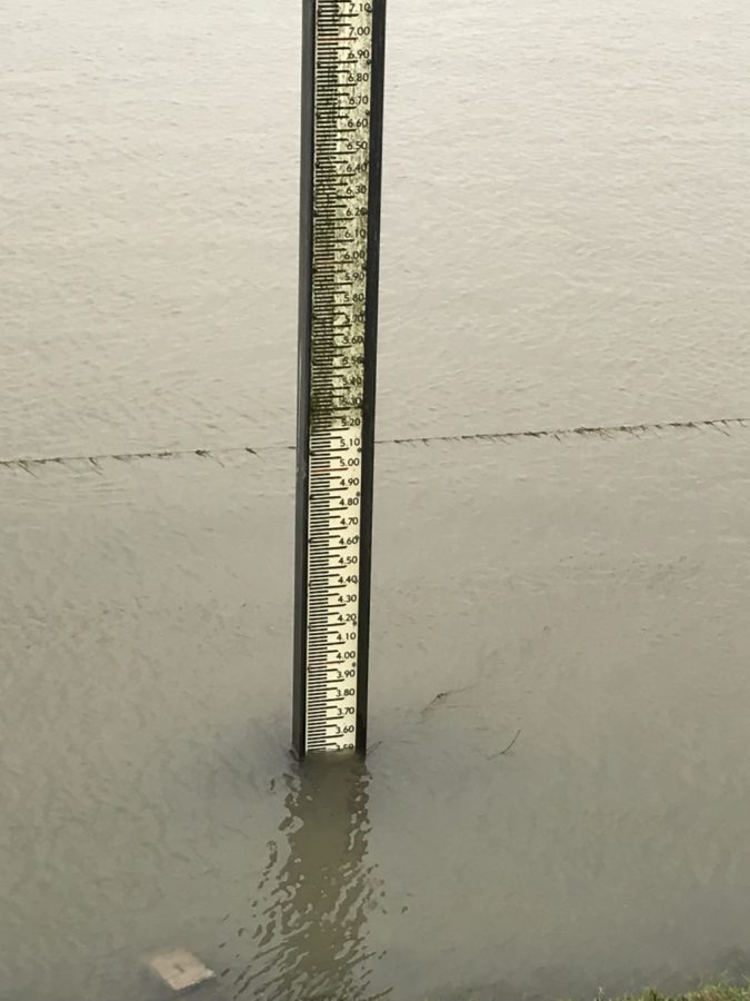 Mijn leven in foto's #76 - Wandelen langs de Waal