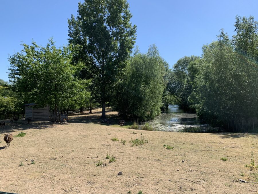 Mijn leven in foto’s #124 - Natuurtuin Leerdam