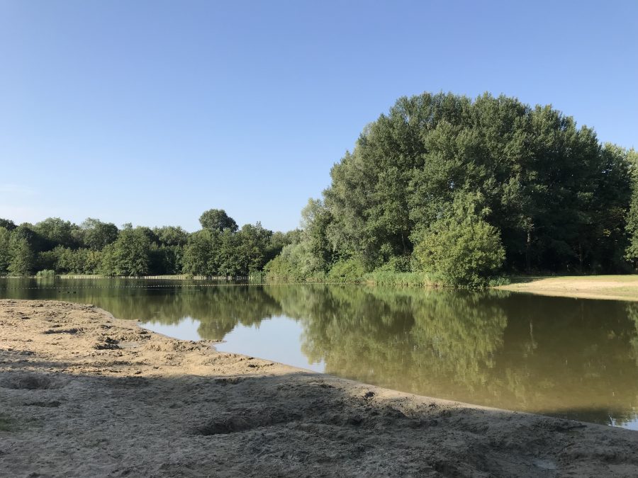 Mijn leven in foto’s #87 - Wandelen in het Lingebos