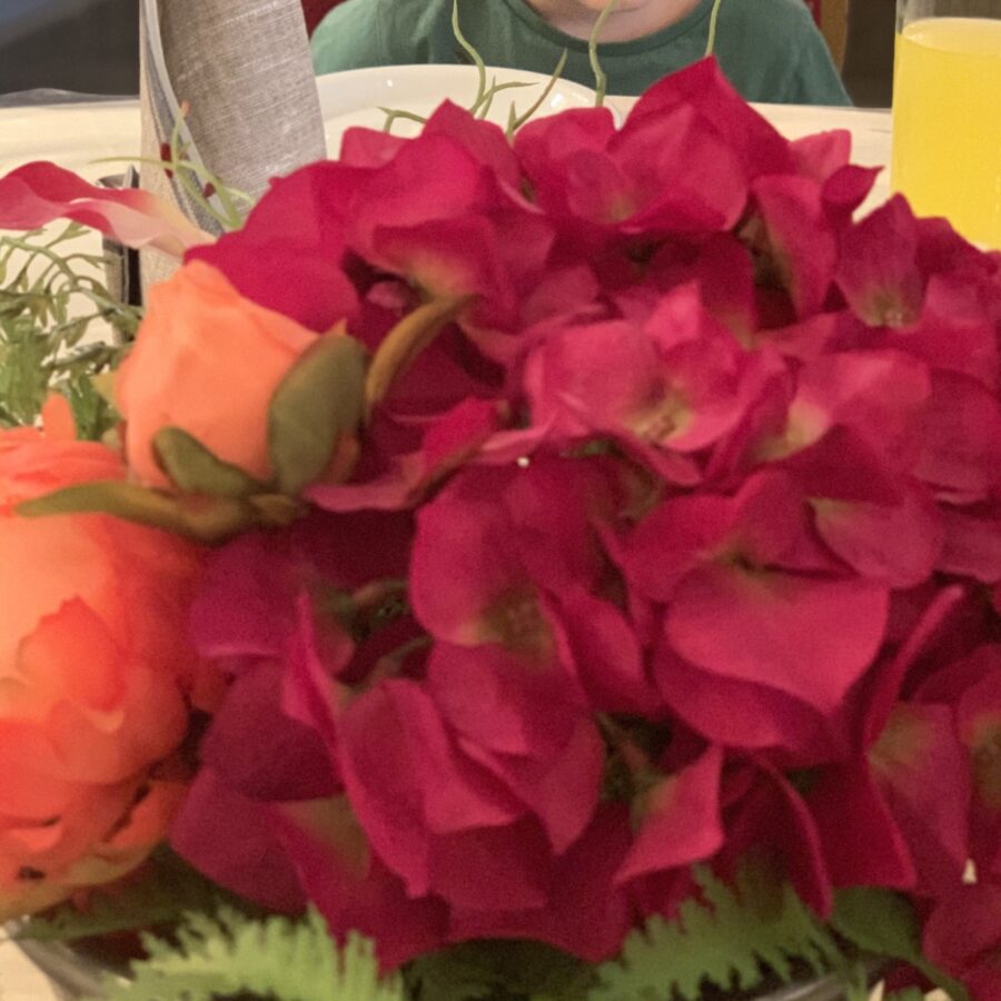 Mijn leven in foto’s #129 - Feest