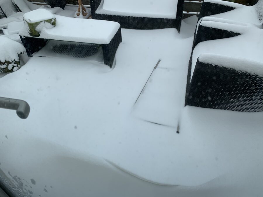 Mijn leven in foto’s #136 - Sneeuwpret