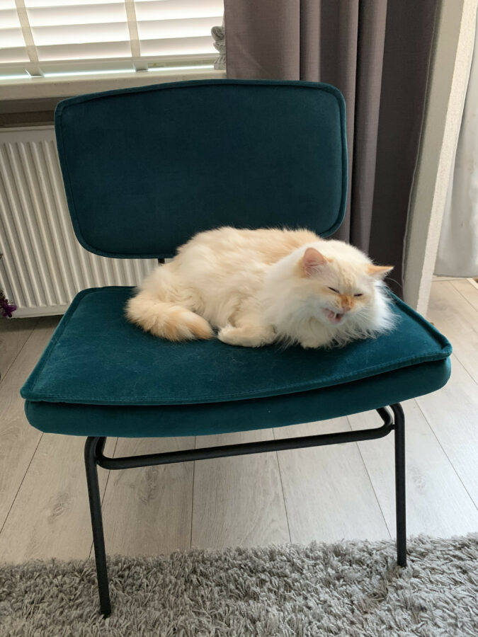 Mijn leven in foto’s #129 - Nieuwe stoel van Sfeer