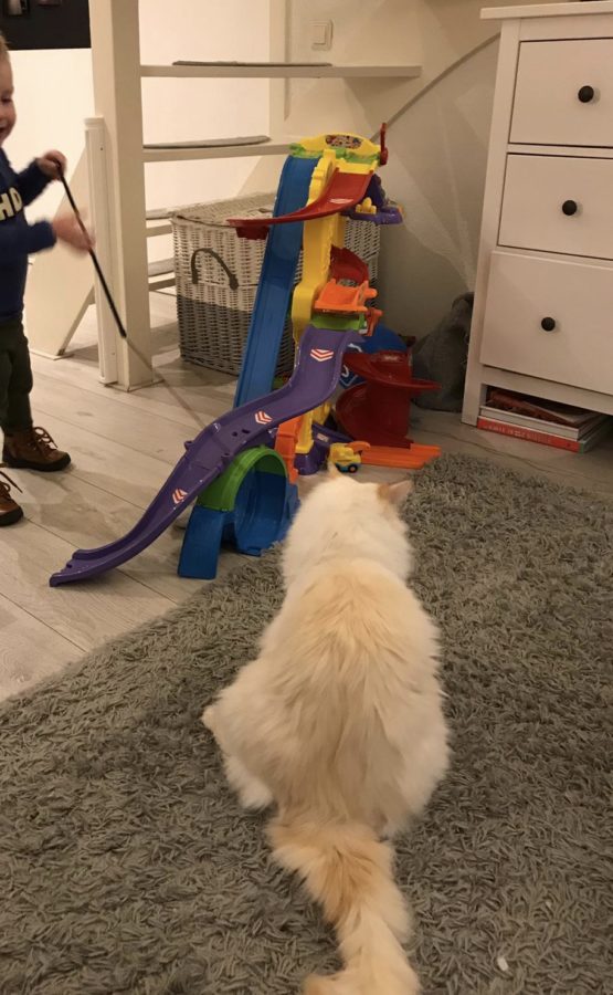 Mijn leven in foto’s #101 - Spelen met Linkie