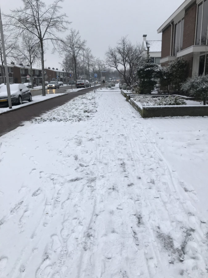 Mijn leven in foto’s #101 - Cesar