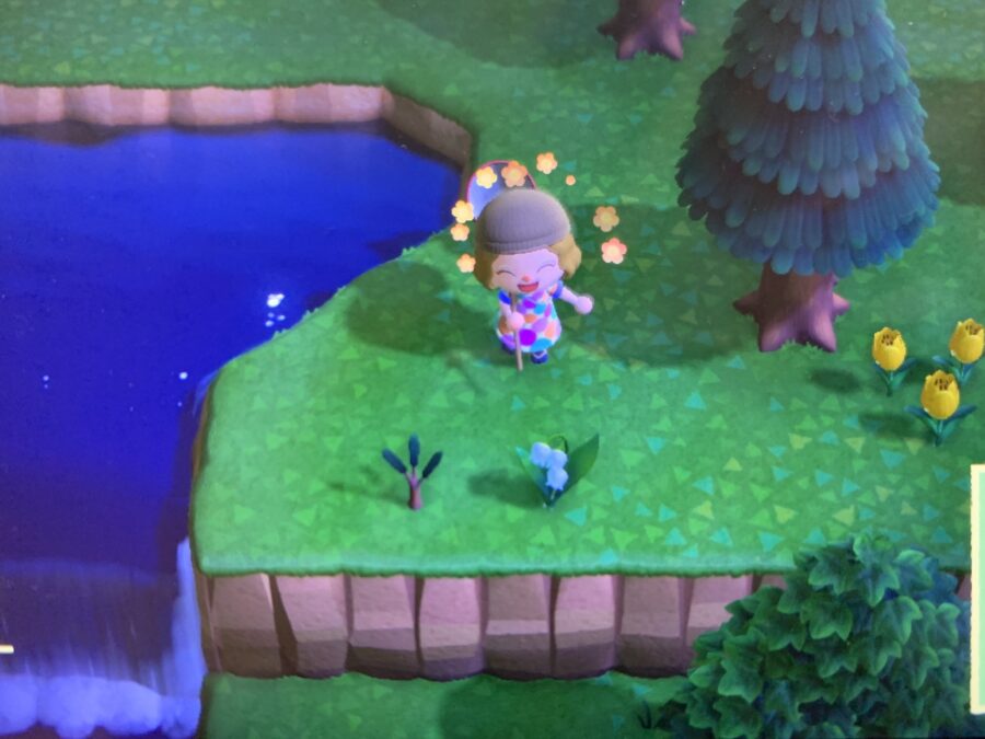 Mijn leven in foto’s #124 - Animal Crossing