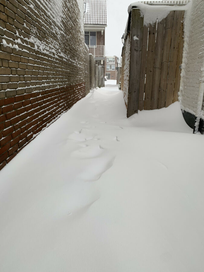 Mijn leven in foto’s #136 - Sneeuwpret