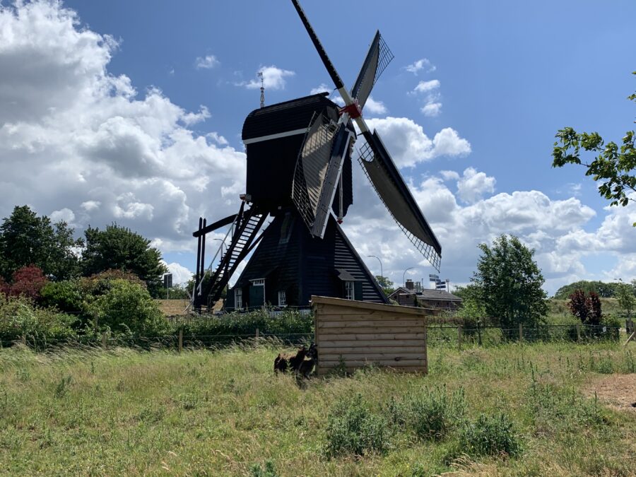 Mijn leven in foto’s #124 - Wandelen in Leerdam