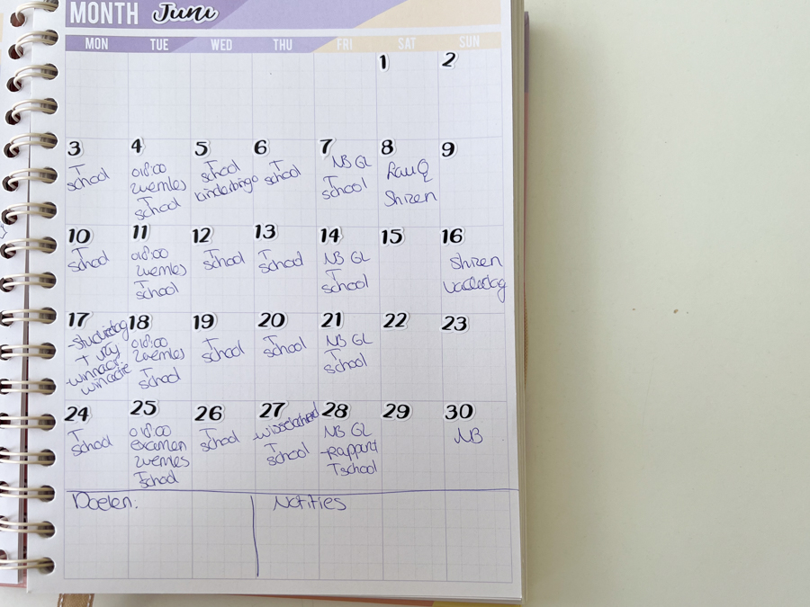 Juni planning in de Mascha Planner Orlando