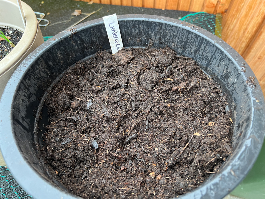 Nieuwe zaden zaaien en zaailingen verspenen